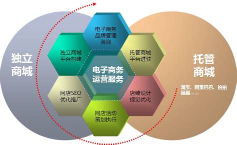 什么是 SaaS 系统？它们有哪些主要类型？