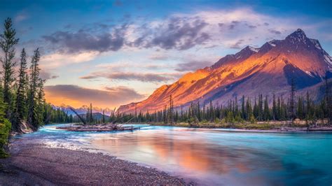 bulkemailsoftwareindia